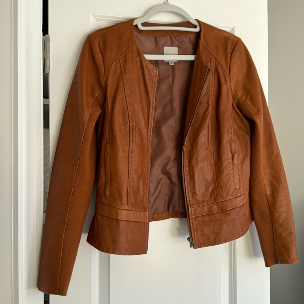 Halogen Leather Jacket, Cognac, Small - 100% Leather